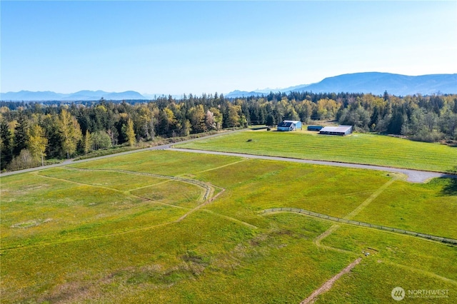 1379 Ten Mile Rd, Everson, WA 98247 - photo 14