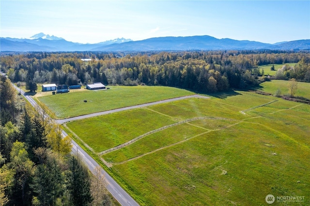 1379 Ten Mile Rd, Everson, WA 98247 - photo 17