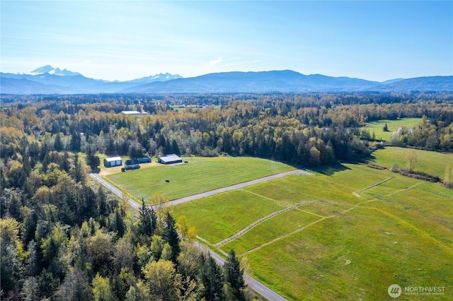 1379 Ten Mile Rd, Everson, WA 98247 - photo 18