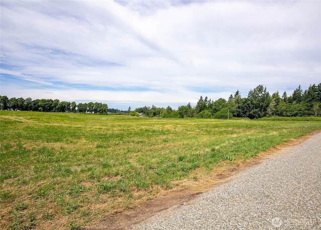 1379 Ten Mile Rd, Everson, WA 98247 - photo 19