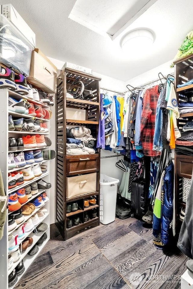 4 Dakota Ln, Elma, WA 98541 - view of spacious closet