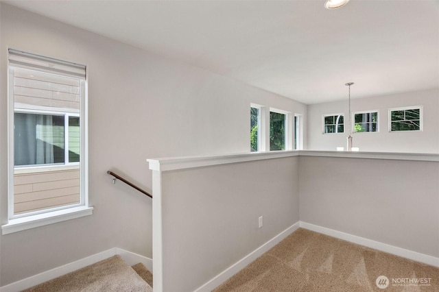 1426 91st Ave SE, Tumwater, WA 98501 - photo 17