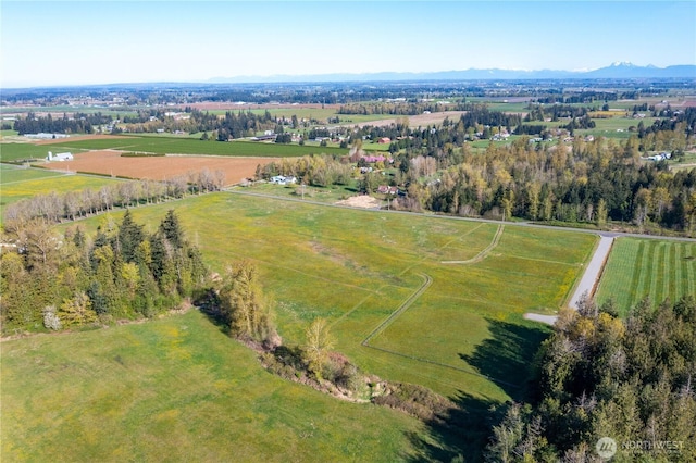 1375 Ten Mile Rd, Everson, WA 98247 - photo 9