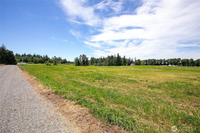 1375 Ten Mile Rd, Everson, WA 98247 - photo 3