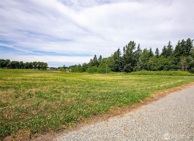1375 Ten Mile Rd, Everson, WA 98247 - photo 24