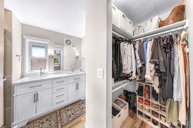 2376 Forest View Dr, Bellingham, WA 98229 - spacious closet featuring a sink and light wood finished floors