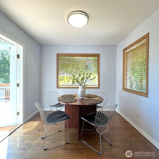 dining room featuring baseboards, a healthy amount of sunlight, and wood finished floors
