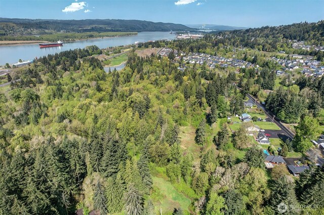 6925 Old Pacific Hwy S, Kalama, WA 98625 - photo 17