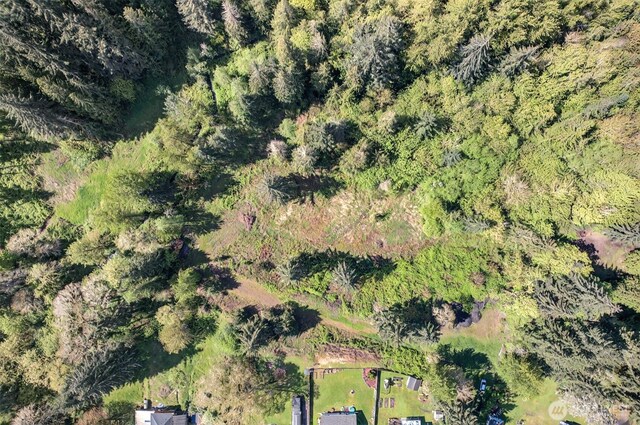 6925 Old Pacific Hwy S, Kalama, WA 98625 - photo 11