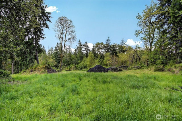 6925 Old Pacific Hwy S, Kalama, WA 98625 - photo 3