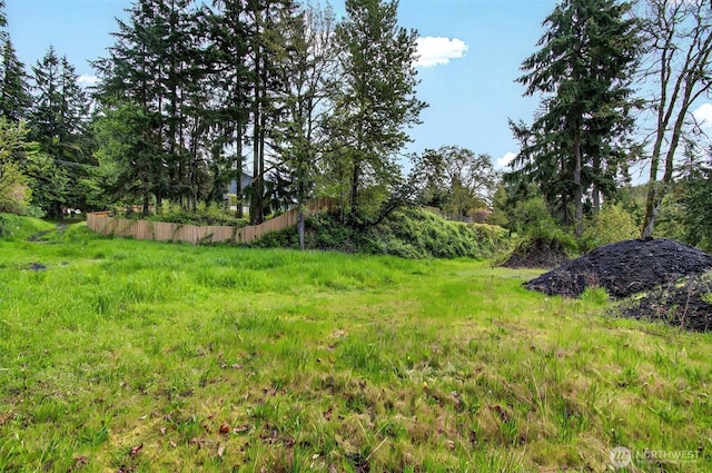 6925 Old Pacific Hwy S, Kalama, WA 98625 - photo 4