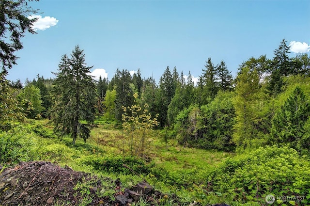 6925 Old Pacific Hwy S, Kalama, WA 98625 - photo 5