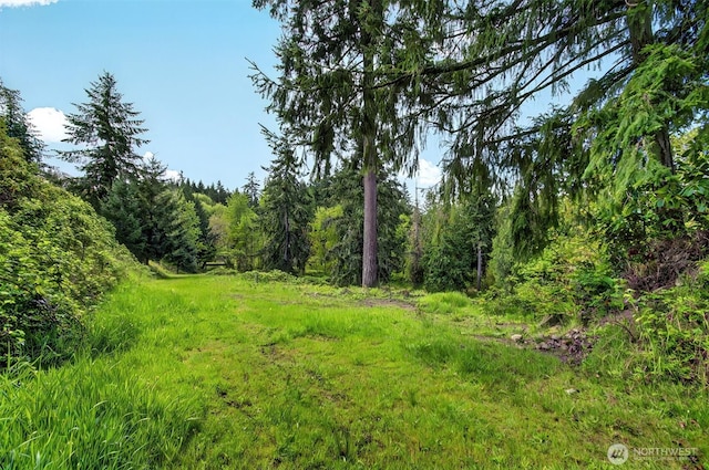 6925 Old Pacific Hwy S, Kalama, WA 98625 - photo 6
