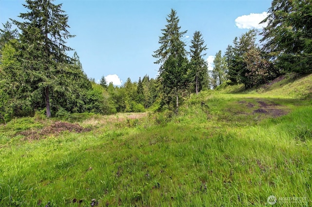 6925 Old Pacific Hwy S, Kalama, WA 98625 - photo 1