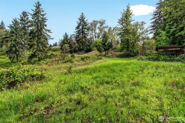 6925 Old Pacific Hwy S, Kalama, WA 98625 - photo 9