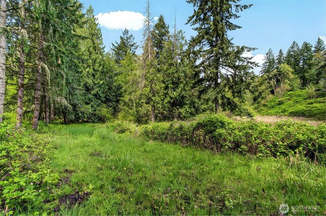 6925 Old Pacific Hwy S, Kalama, WA 98625 - photo 10