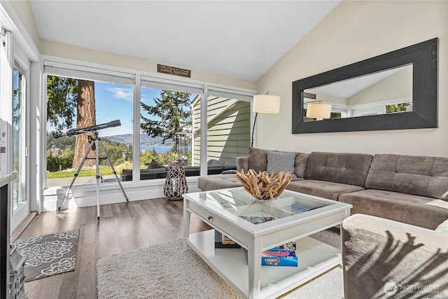 living room featuring vaulted ceiling, wood finished floors, and a wealth of natural light