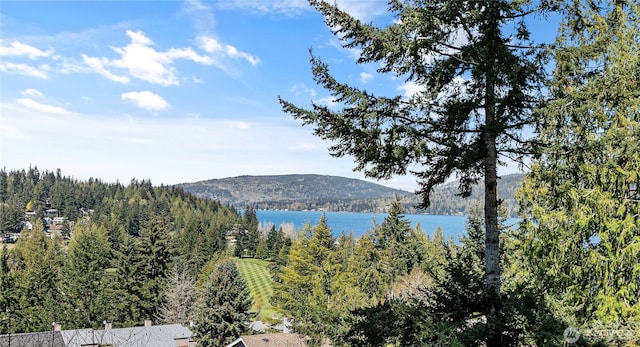 mountain view with a view of trees and a water view