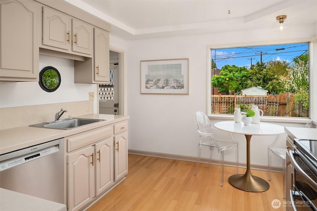 kitchen featuring light countertops, a sink, light wood-style flooring, and stainless steel appliances