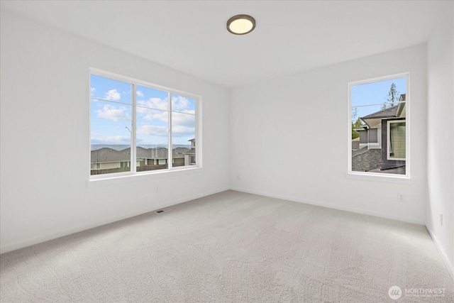 19295 134th Pl SE, Monroe, WA 98272 - photo 18