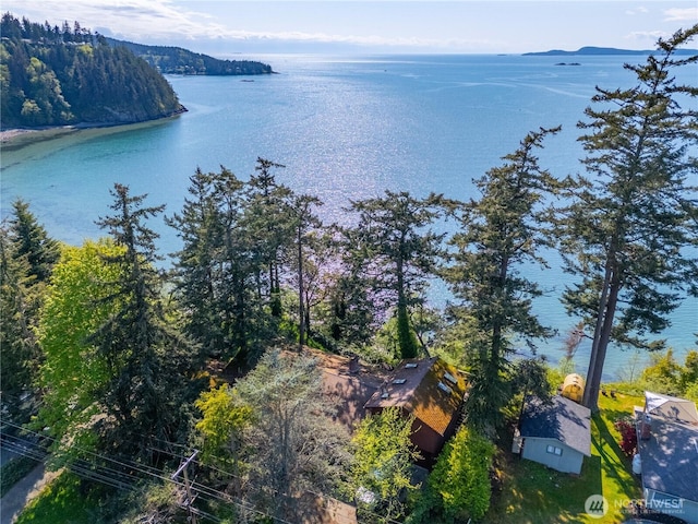 12724 Marine Dr, Anacortes, WA 98221 - bird's eye view featuring a water view