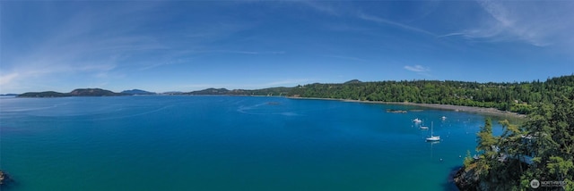 12724 Marine Dr, Anacortes, WA 98221 - property view of water with a forest view and a mountain view