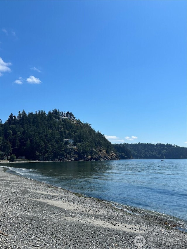 12724 Marine Dr, Anacortes, WA 98221 - view of water feature featuring a forest view