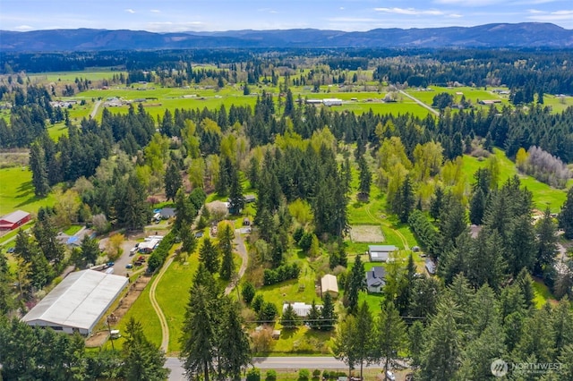 14323 123rd Ave SE, Rainier, WA 98597 - photo 33