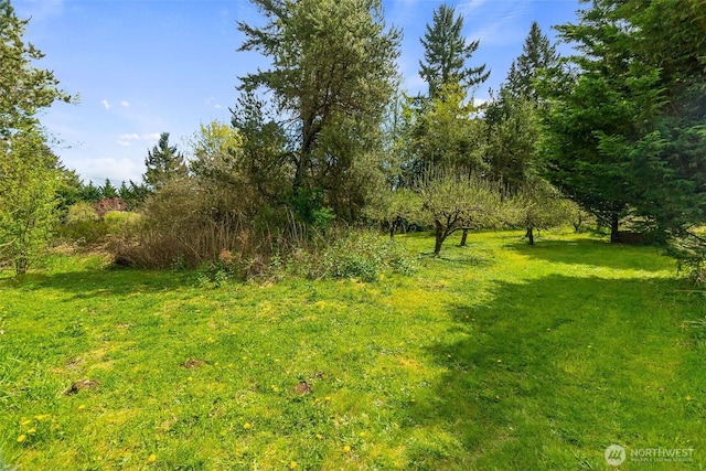 14323 123rd Ave SE, Rainier, WA 98597 - photo 30