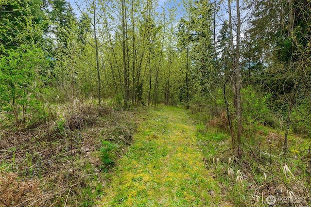 14323 123rd Ave SE, Rainier, WA 98597 - photo 31