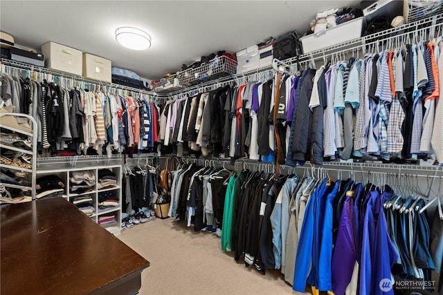 spacious closet with carpet floors