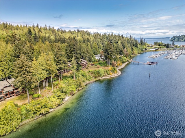 drone / aerial view of a nearby body of water
