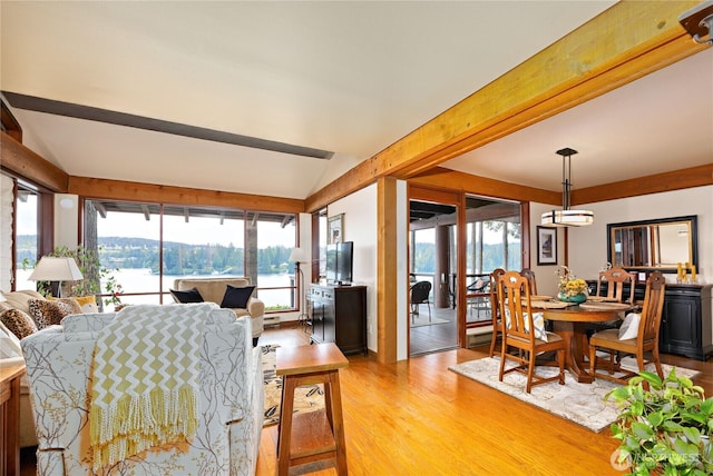 living area with wood finished floors