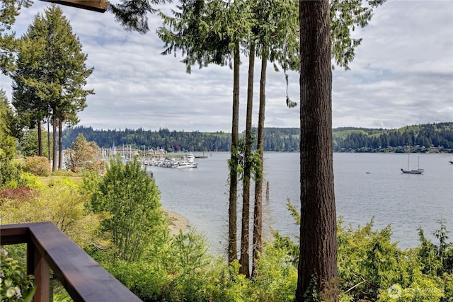 water view with a forest