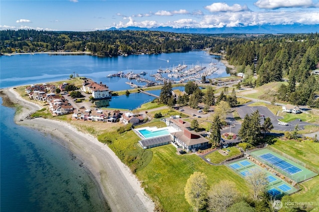 drone / aerial view of a forest and a nearby body of water