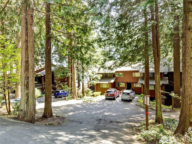 view of asphalt driveway