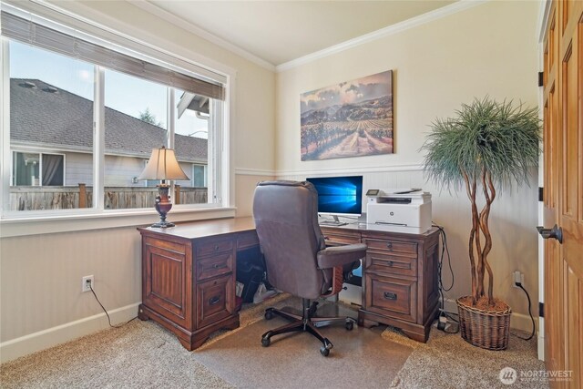 office featuring baseboards, crown molding, and carpet
