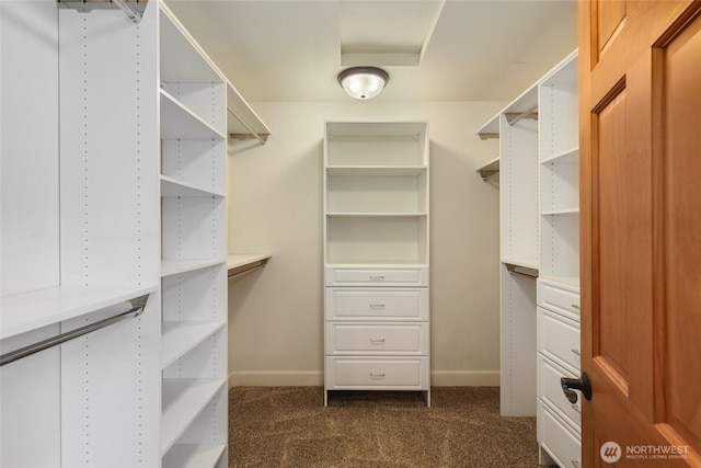 1207 24th St NW, Puyallup, WA 98371 - photo 38