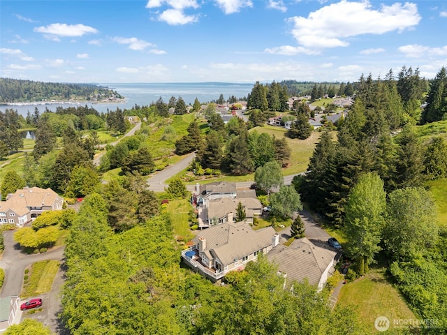 aerial perspective of suburban area featuring a large body of water