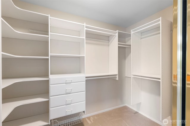 walk in closet with light carpet