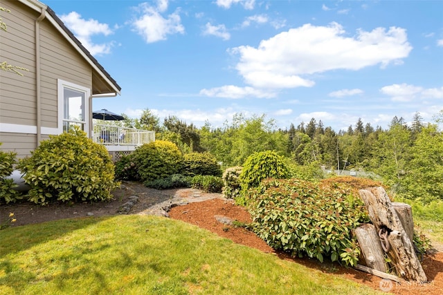 view of yard
