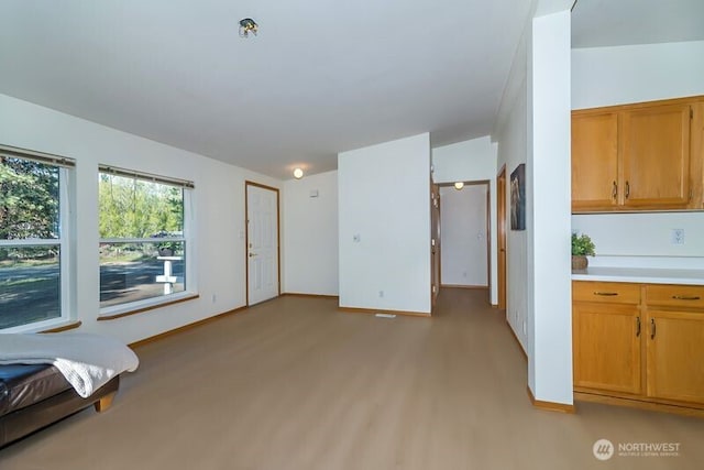 interior space with light countertops, light wood finished floors, and baseboards
