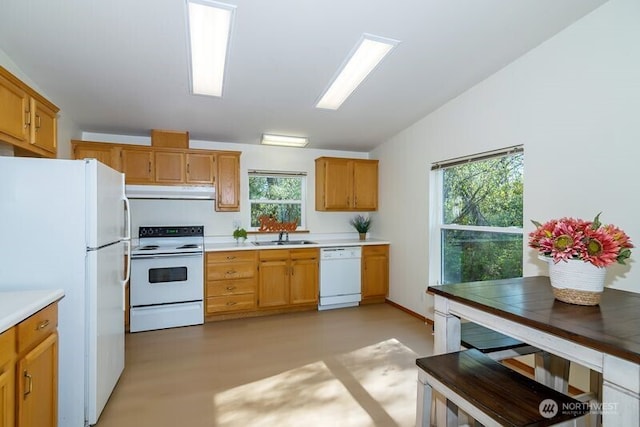 kitchen with white appliances, under cabinet range hood, light countertops, and a sink