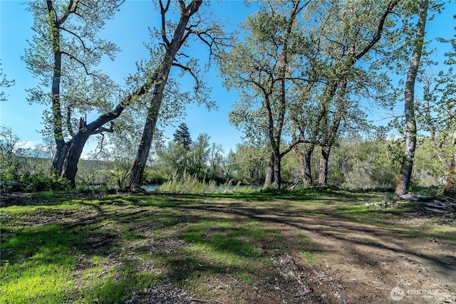 view of nature