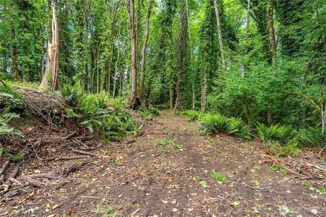 123 E 4th St, Port Orchard, WA 98366