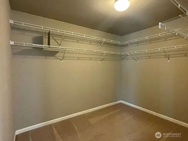 19020 25th Ave E, Tacoma, WA 98445 - walk in closet featuring carpet floors