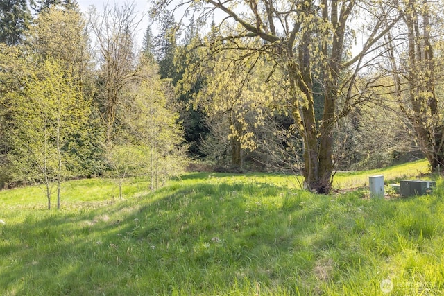 16 Delguzzi Dr, Port Angeles, WA 98362 - photo 2