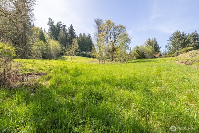 16 Delguzzi Dr, Port Angeles, WA 98362 - photo 3
