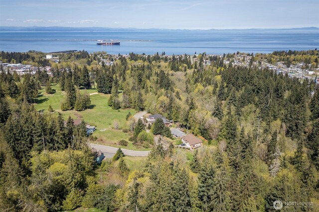 16 Delguzzi Dr, Port Angeles, WA 98362 - photo 6
