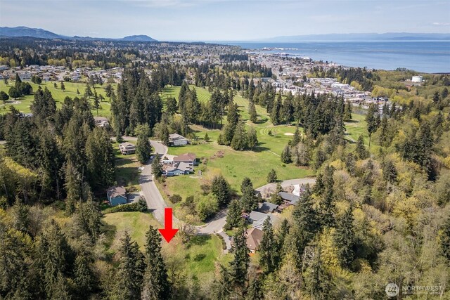 16 Delguzzi Dr, Port Angeles, WA 98362 - photo 7